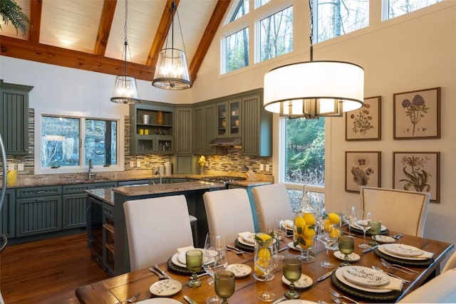 dining room featuring beam ceiling, a healthy amount of sunlight, and dark wood-style flooring