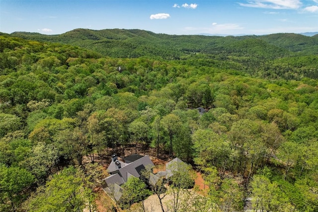1984 New Settlers Way, Glenville, NC 28736 - photo 51