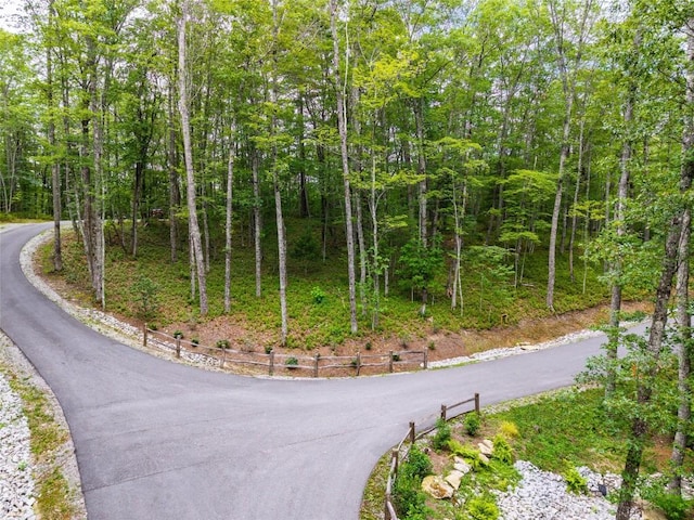 5 Lone Panther Rdg, Cashiers, NC 28717 - photo 3