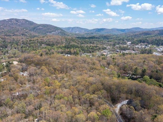 5 Lone Panther Rdg, Cashiers, NC 28717 - photo 14