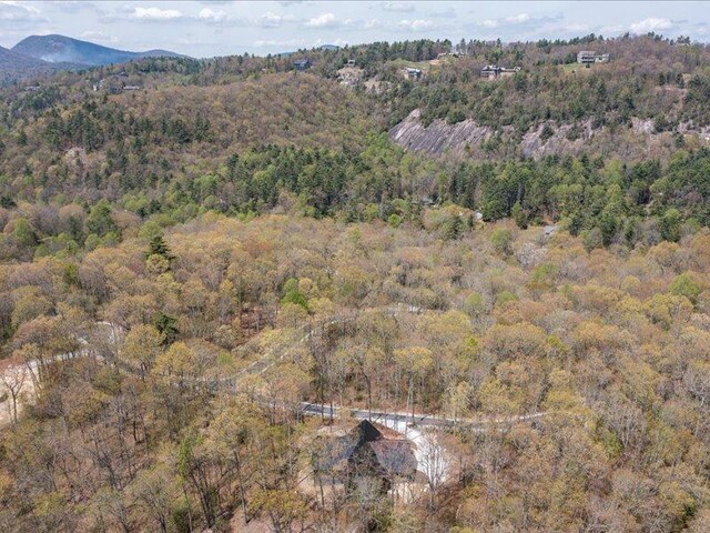5 Lone Panther Rdg, Cashiers, NC 28717 - photo 13