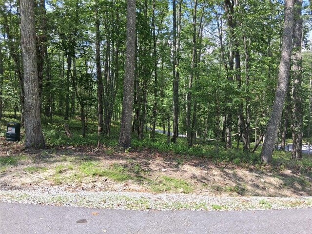 5 Lone Panther Rdg, Cashiers, NC 28717 - photo 4