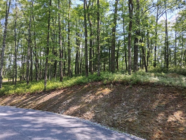 5 Lone Panther Rdg, Cashiers, NC 28717 - photo 11