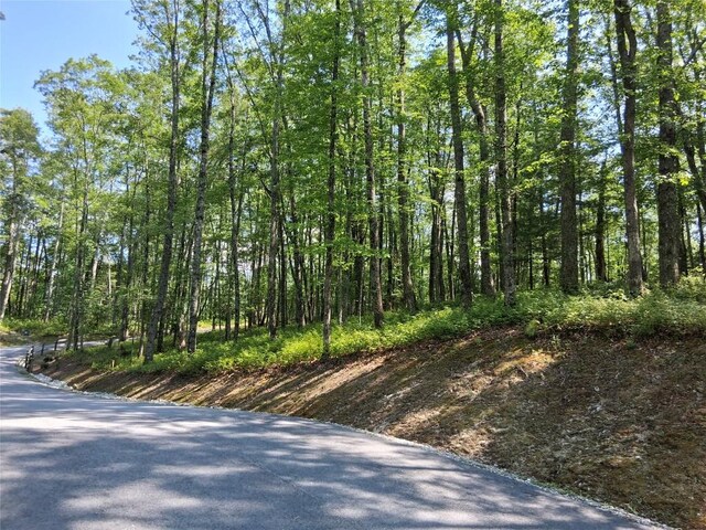 5 Lone Panther Rdg, Cashiers, NC 28717 - photo 8