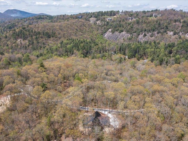 5 Lone Panther Rdg, Cashiers, NC 28717 - photo 15