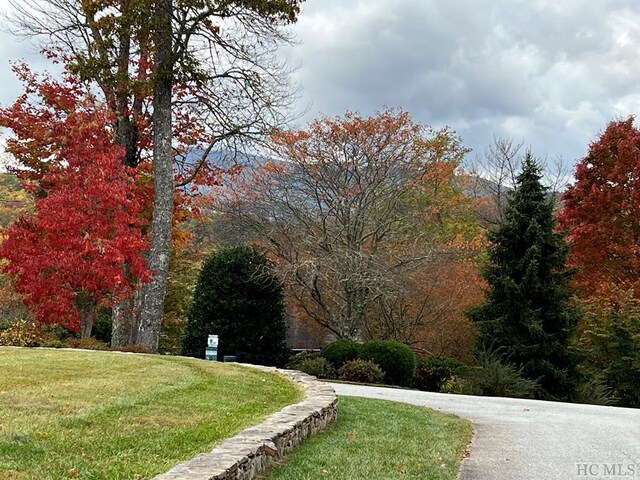 35-B Portland Rdg Unit B, Cashiers, NC 28717 - view of community with a yard