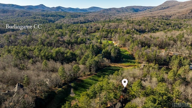 drone / aerial view featuring a mountain view