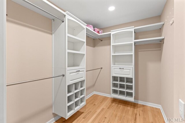 spacious closet with wood-type flooring