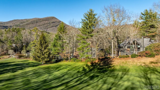 view of yard featuring a mountain view