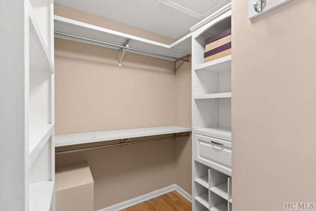 walk in closet featuring hardwood / wood-style floors