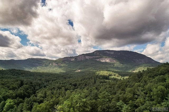 view of mountain feature