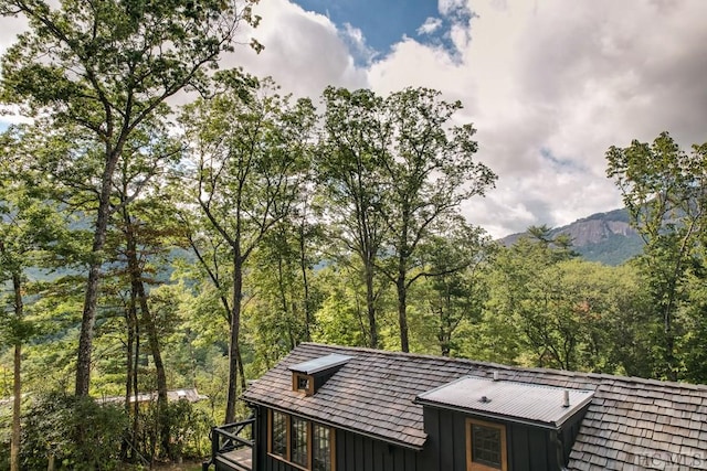 view of home's exterior featuring a mountain view