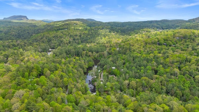 mountain view featuring a forest