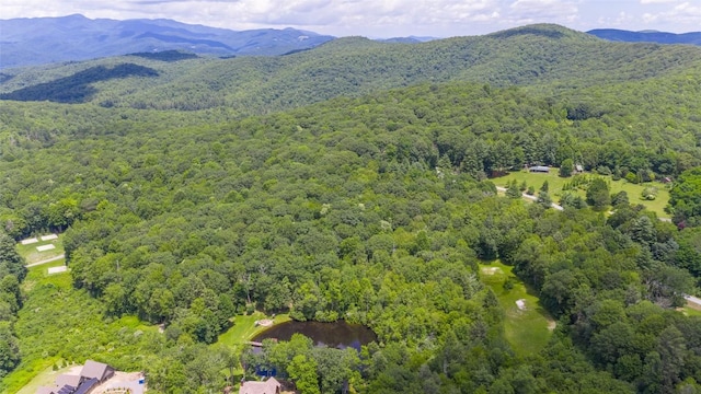 5 Flat Creek Dr, Glenville, NC 28736 - photo 23