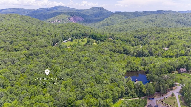 5 Flat Creek Dr, Glenville, NC 28736 - photo 7