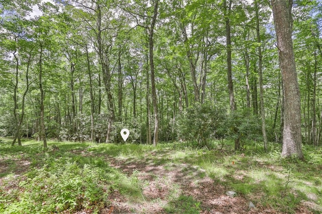 5 Flat Creek Dr, Glenville, NC 28736 - photo 4