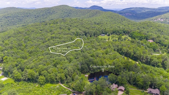 5 Flat Creek Dr, Glenville, NC 28736 - photo 8
