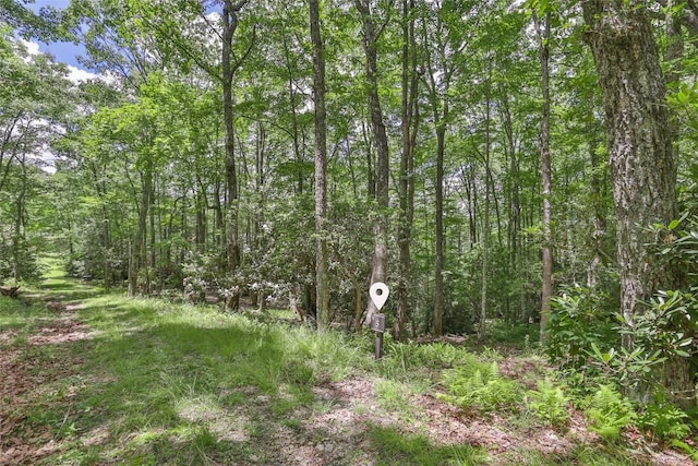 5 Flat Creek Dr, Glenville, NC 28736 - photo 5