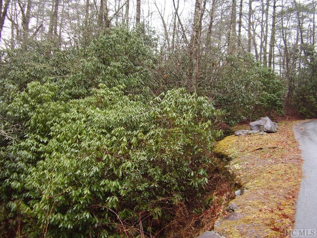 Listing photo 2 for LOT1B Streamside Dr, Cashiers NC 28717