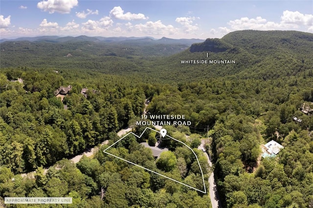 19 Whiteside Mountain Rd Unit A & B, Highlands, NC 28741 - photo 85
