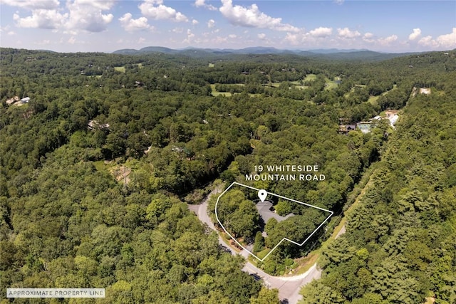 19 Whiteside Mountain Rd Unit A & B, Highlands, NC 28741 - photo 84