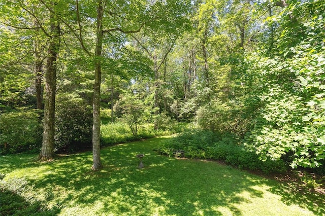 19 Whiteside Mountain Rd Unit A & B, Highlands, NC 28741 - photo 64