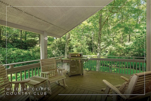 19 Whiteside Mountain Rd Unit A & B, Highlands, NC 28741 - photo 4