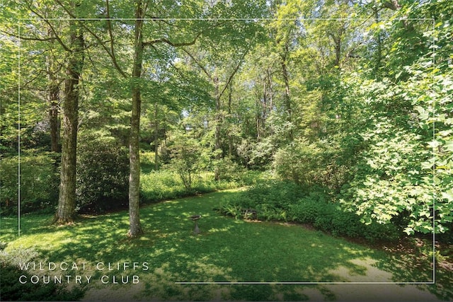 19 Whiteside Mountain Rd Unit A & B, Highlands, NC 28741 - photo 5