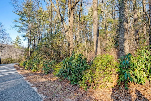 LOT17 Bowery Rd, Highlands, NC 28741