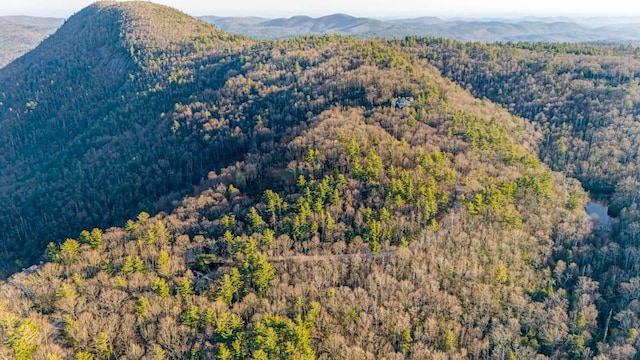 LOT17 Bowery Rd, Highlands, NC 28741