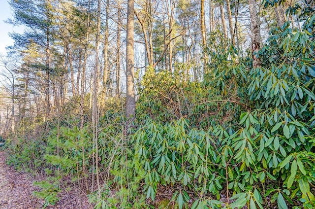 LOT17 Bowery Rd, Highlands, NC 28741