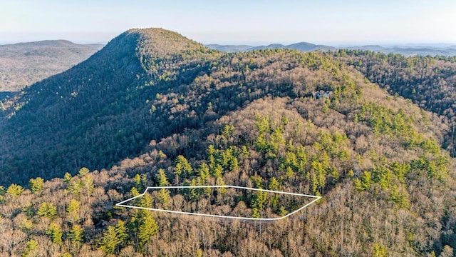 LOT17 Bowery Rd, Highlands, NC 28741
