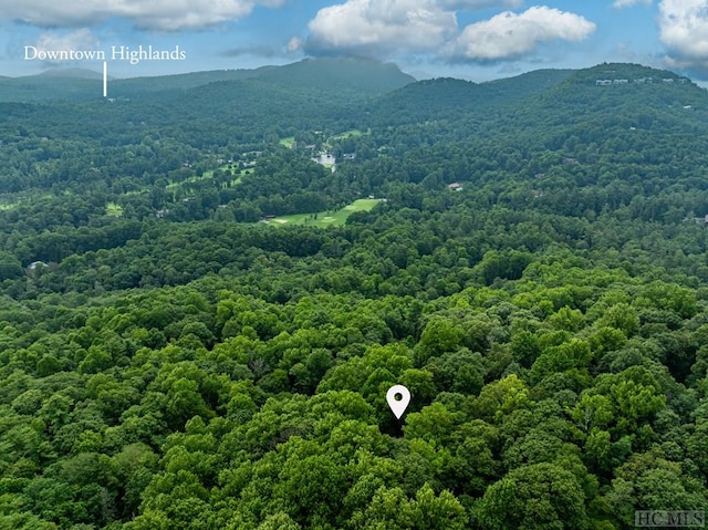 aerial view with a mountain view