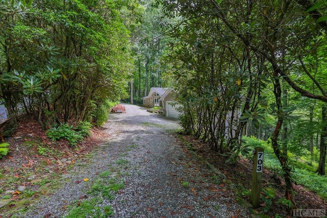 view of road with a wooded view and gravel driveway