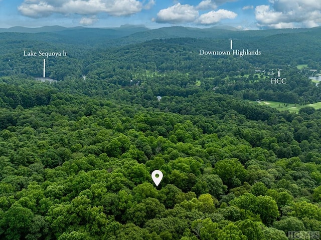 drone / aerial view featuring a mountain view