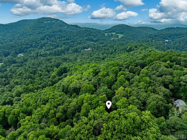 bird's eye view featuring a view of trees and a mountain view