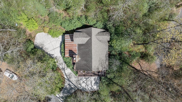 bird's eye view