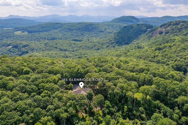 185 Glenridge Rd, Glenville, NC 28736 - photo 83