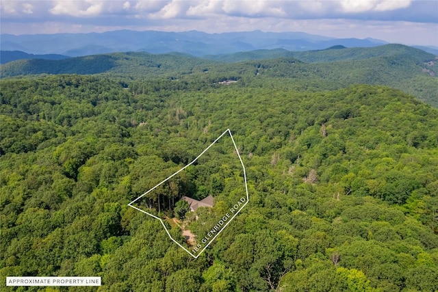 185 Glenridge Rd, Glenville, NC 28736 - photo 85
