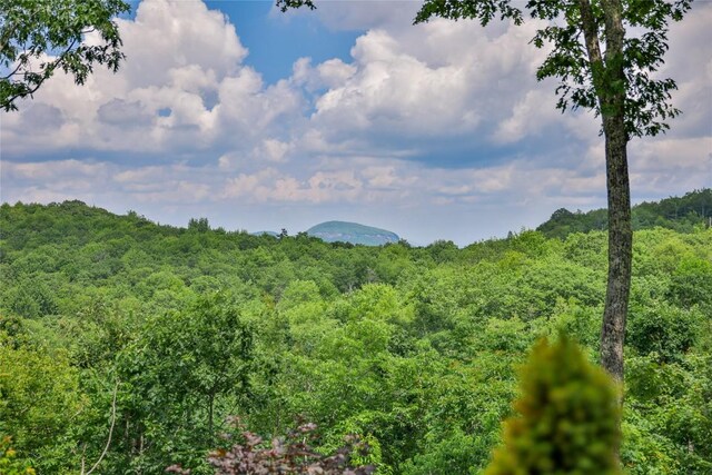 185 Glenridge Rd, Glenville, NC 28736 - photo 42