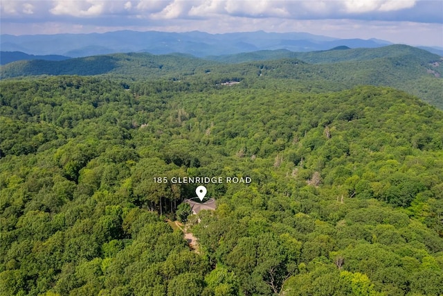 185 Glenridge Rd, Glenville, NC 28736 - photo 86
