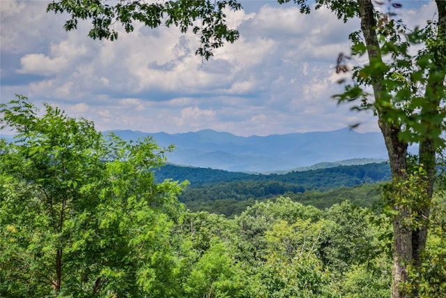 185 Glenridge Rd, Glenville, NC 28736 - photo 43