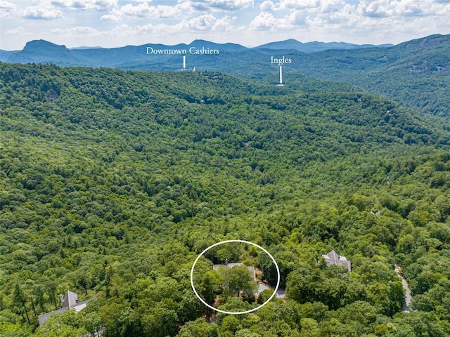 drone / aerial view featuring a mountain view