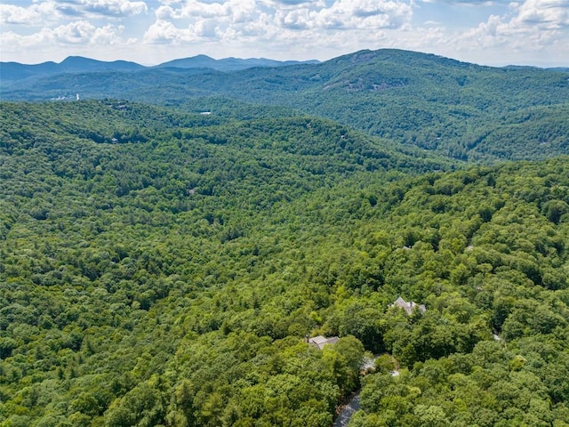 property view of mountains