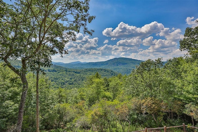 view of mountain feature