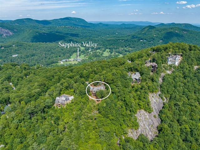 drone / aerial view featuring a mountain view