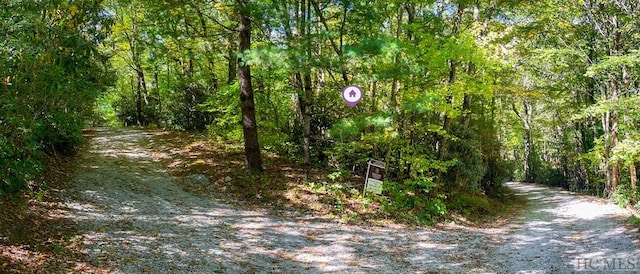 Listing photo 2 for TBD Cardwell Eaton Rd, Highlands NC 28741