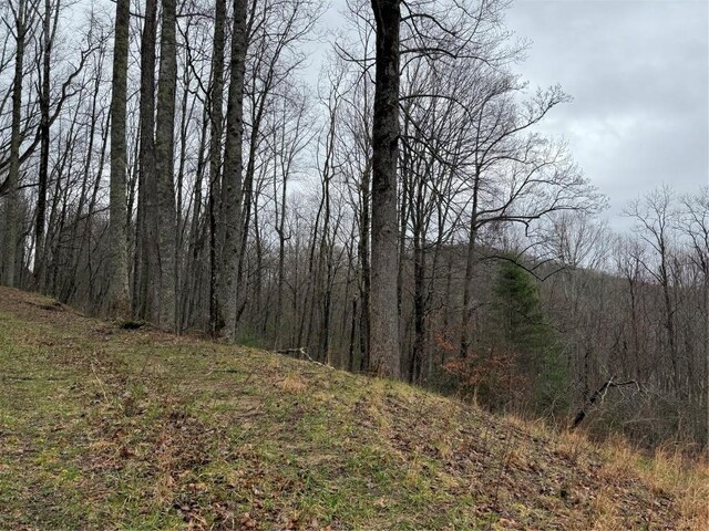 0 Robinson Creek Rd, Glenville, NC 28736 - photo 18