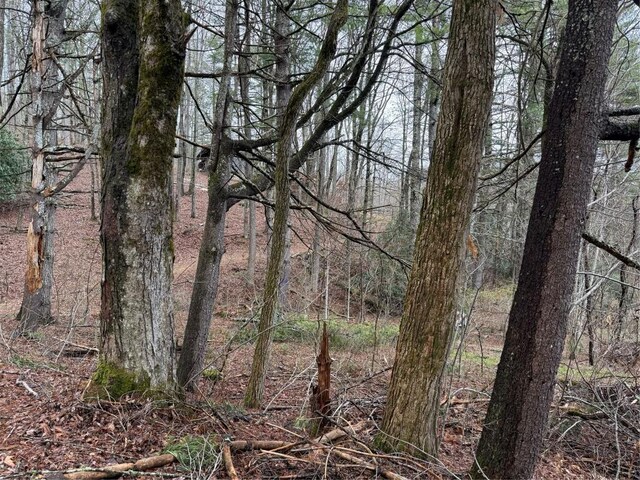 0 Robinson Creek Rd, Glenville, NC 28736 - photo 6