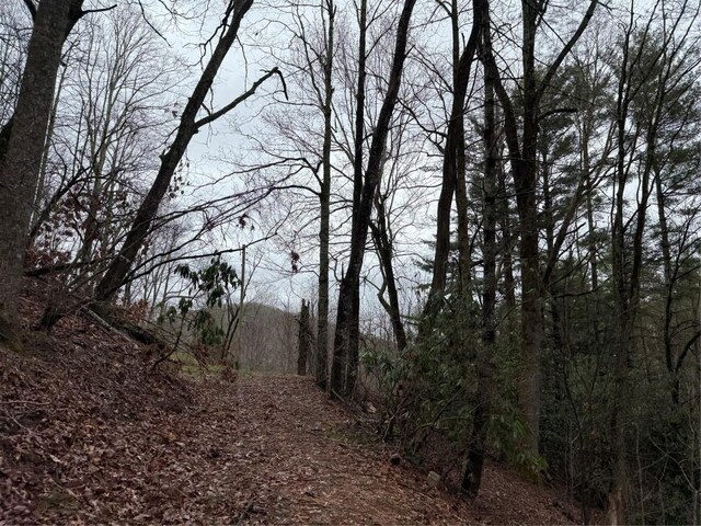 0 Robinson Creek Rd, Glenville, NC 28736 - photo 16